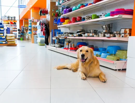 Pet Store San Cataldo: il negozio di animali di fiducia in città