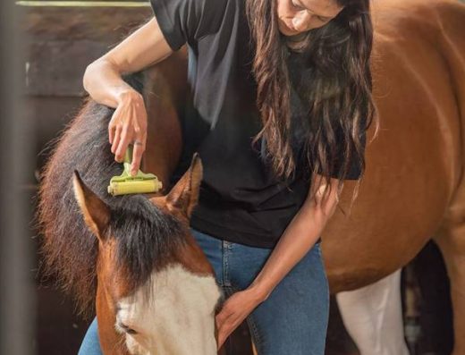 Tuepori Shop: il Benessere Naturale del Cavallo a Base di Zolfo