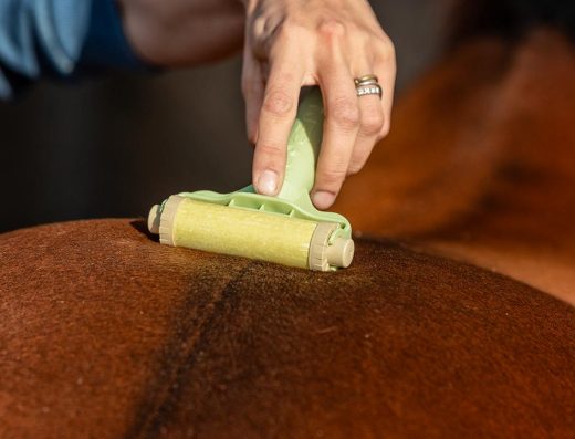 Tuepori Shop: il Benessere Naturale del Cavallo a Base di Zolfo