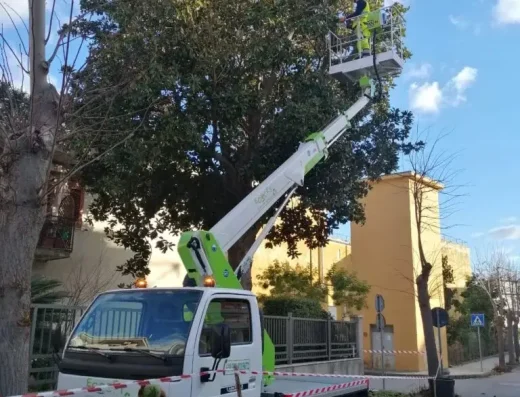 Ecocet: Pulizie e Disinfestazione a Pace del Mela
