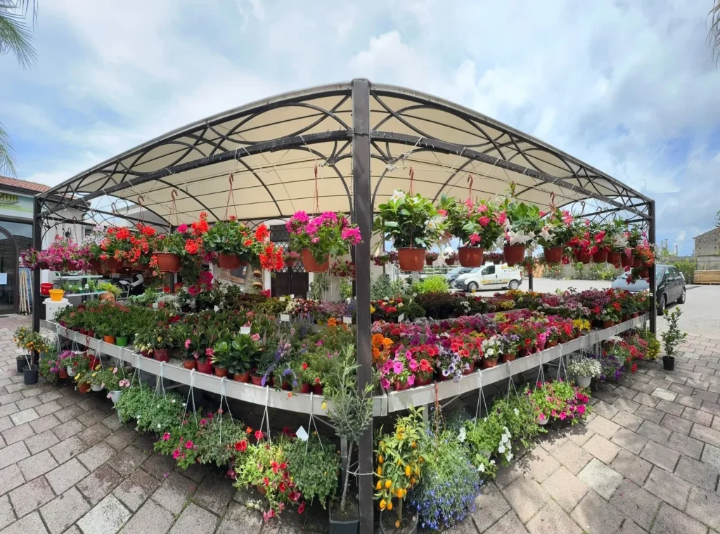 Agrozoo Market Brolo: Pet Shop, Mangimi, Piante e Prodotti per l’Agricoltura
