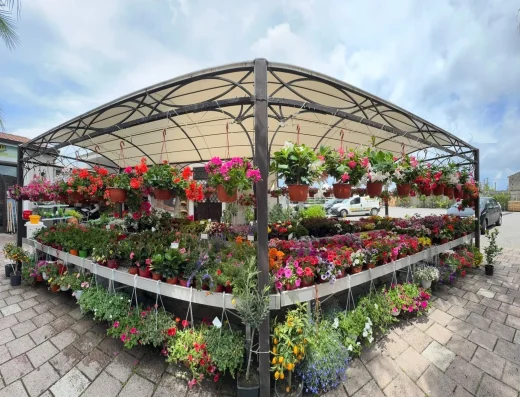 Agrozoo Market Brolo: Pet Shop, Mangimi, Piante e Prodotti per l’Agricoltura