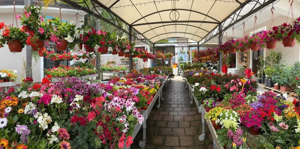 Agrozoo Market Brolo: Pet Shop, Mangimi, Piante e Prodotti per l’Agricoltura
