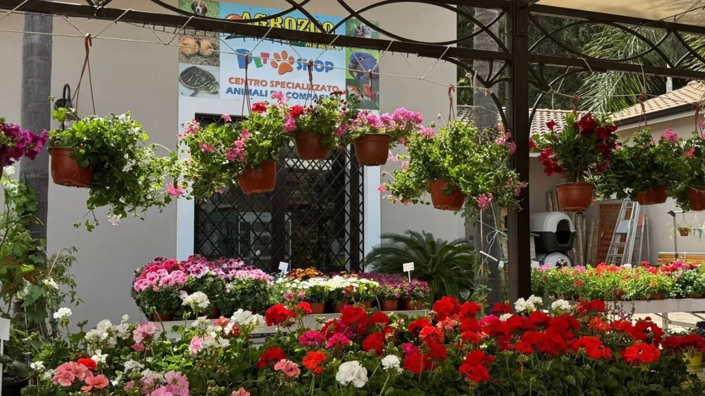 Agrozoo Market Brolo: Pet Shop, Mangimi, Piante e Prodotti per l’Agricoltura