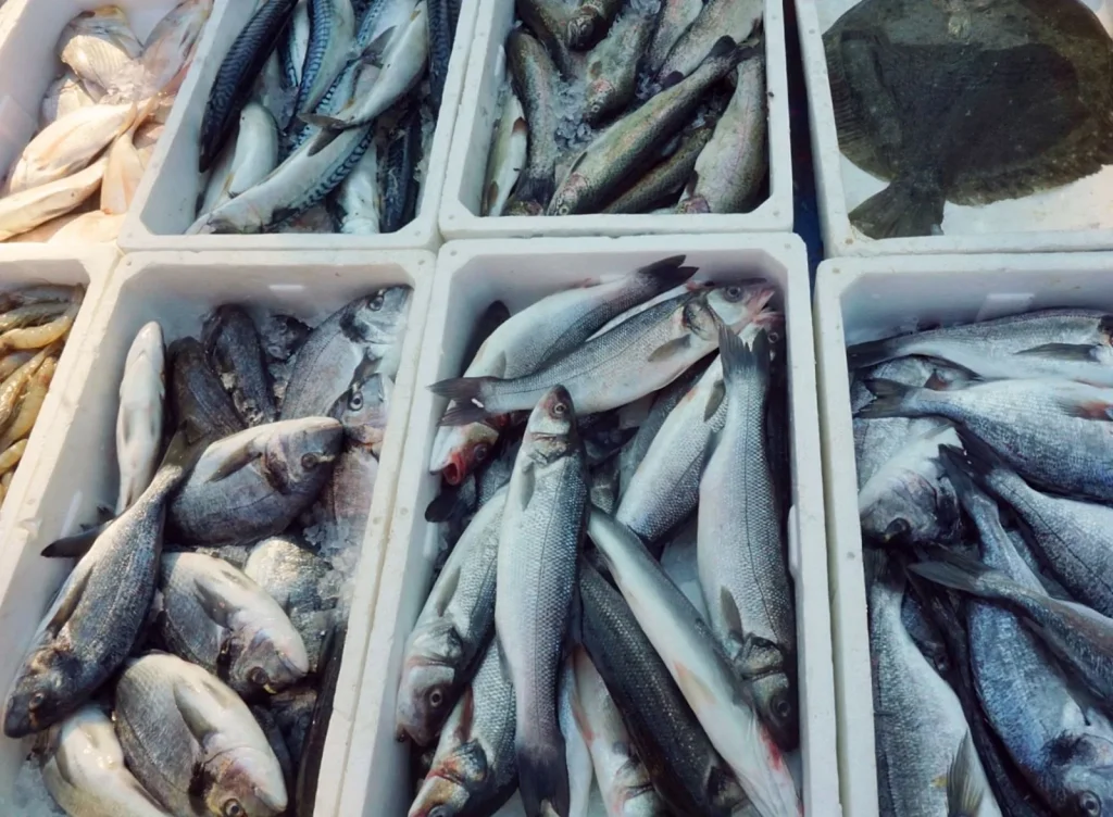 Pescheria Morello Messina: Pesce Fresco dello Stretto e Pronti da Cuocere